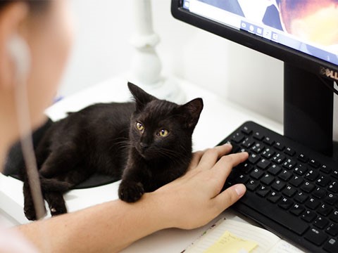 網(wǎng)站建設(shè)對(duì)于企業(yè)來(lái)說(shuō)的作用很大! 網(wǎng)站建設(shè)對(duì)于企業(yè)來(lái)說(shuō)的作用很大!